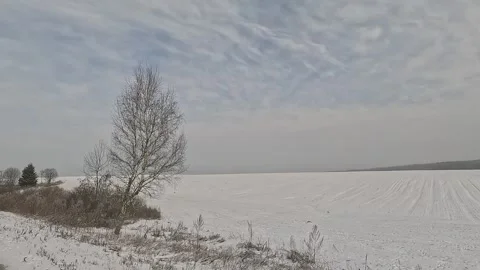 Along the road, winter roadside view, view from the car window. Snow winter day. Stock Footage 340251490
