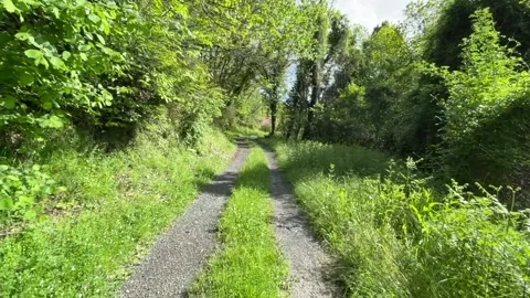 Along the salt road Stock Footage 241414563