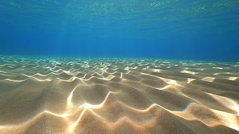 Along sandy ground with sun reflections Stockbeeldmateriaal 124247122