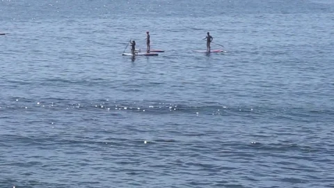 Along the shore Vídeo Stock 78225695