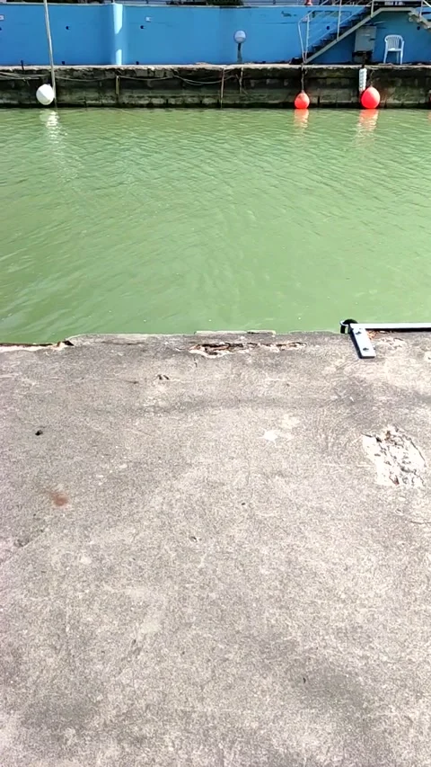 Along the shore Stock Footage 150666496