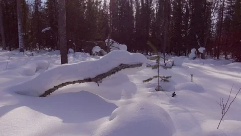 Along the snowy edge Stock Footage 90727656