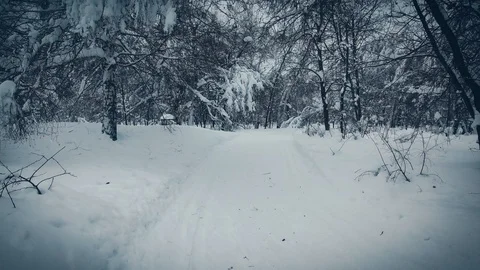 Along the snowy road Video stock 101187975