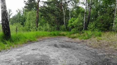 Along the Trail Video stock 111156494