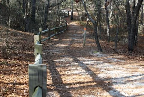 Along the Trail Stock Photos