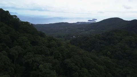 Along  tropical rainforest Stock Footage 133707668