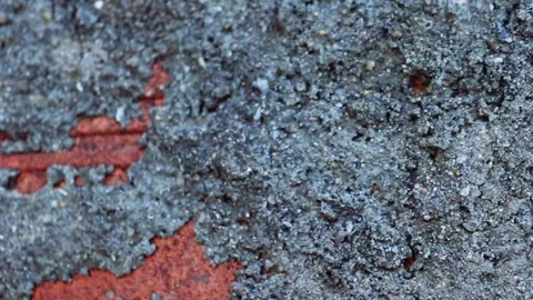 Along the wall to nature. Stock Footage 131402460
