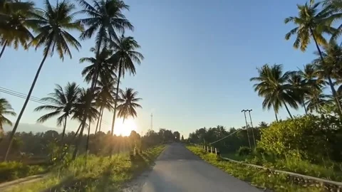 Along the way Video stock 245260829