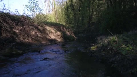 AlongCreek4 库存影片 130800873