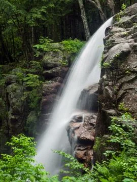 Alongside Avalanche Falls Stock Photos