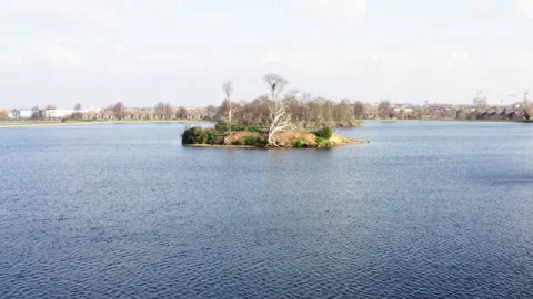 ALowAngleOfWalthamstowsWetlands Stock Footage 243000284