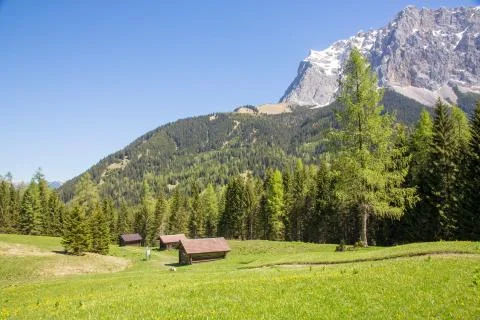 Alp Meadow Stock Photos