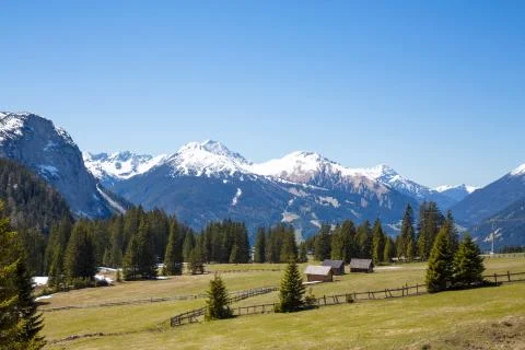 Alp Meadows Stock Photos