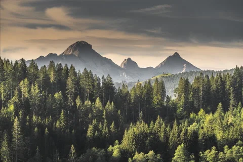 Alp mountain fores 8k Video stock 147517184
