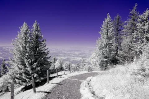 Alp trail 스톡 사진