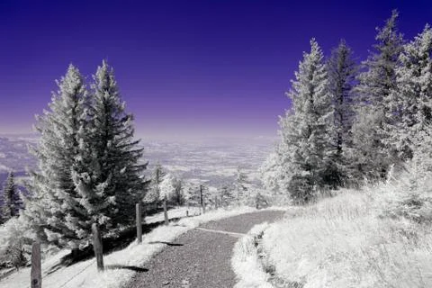 Alp trail Stock Photos