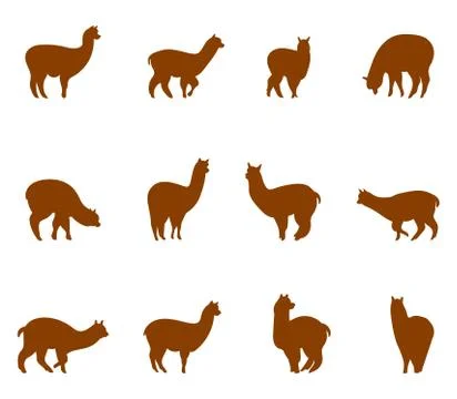 Alpaca and llams emblems collection. Stock Illustration