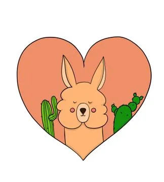 Alpaca Stock Illustration