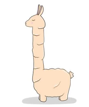 Alpaca Stock Illustration