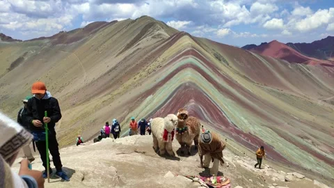 Alpaca with owner at the coloured mountains Cusco, Peru. Stock Footage 288621164