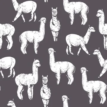 Alpaca. Vector   pattern. Stock Illustration