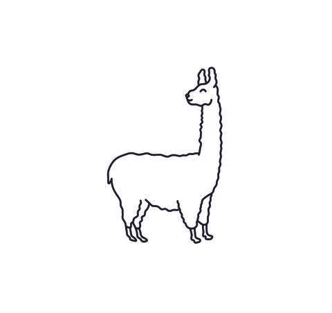 Alpaka drawing Stock Illustration