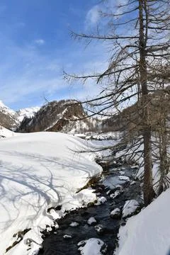 Alpe Devero. Stock Photos
