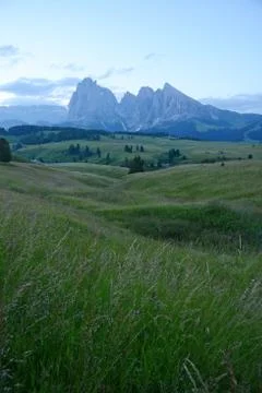 Alpe di Siusi Stock Photos