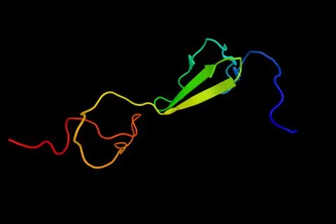 Alpha-1 chain of type II collagen, a fibrillar collagen found in cartilage .. Stock Illustration