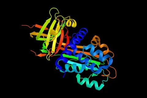 Alpha 2-antiplasmin, which leads to bleeding, a serine protease inhibitor (.. 스톡 일러스트