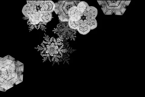 Alpha Channel Effect - Snow Flakes 2 Stock Footage 84356