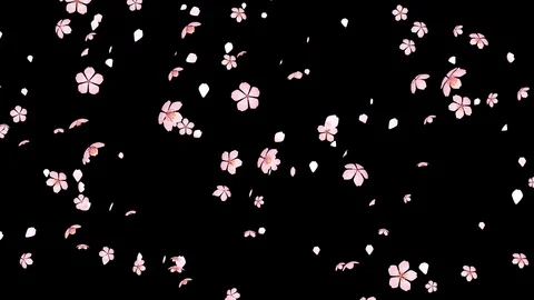 Alpha channel - Falling Cherry blossom particles motion background Stock Footage 102539833