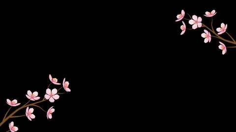 Alpha channel file - Blooming Cherry blossom motion graphics Video stock 100741594