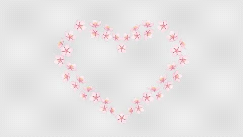 Alpha channel file - Blooming cherry blossom flowers along heart shape Video stock 171011965