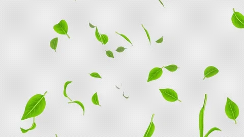 Alpha channel file - Blowing depth animation, green leaf particles Stock Footage 238978828