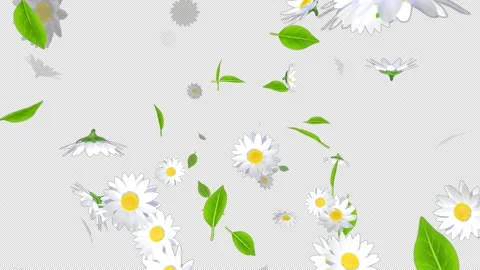 Alpha channel file - Blowing depth animation, flower and leaf particles Stock Footage 238979317