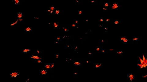 Alpha channel file - Blowing red maple leaves Stock Footage 118116807