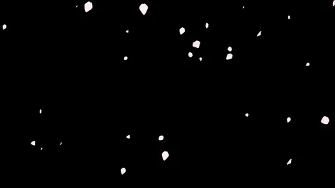 Alpha channel file, Falling down Cherry blossom Petals Stock Footage 85089210