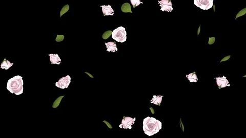 Alpha channel file - Falling Pink roses motion background Stock Footage 89031779
