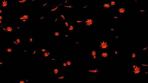 Alpha channel file - Falling red maple leaves Stock Footage 118117664