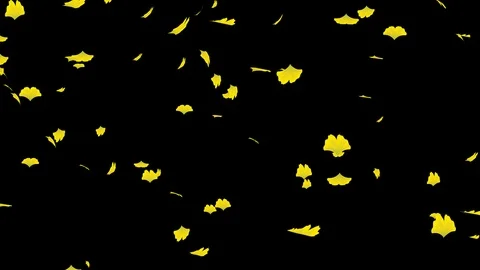 Alpha channel file - Falling yellow ginkgo leaves Stock Footage 118117179