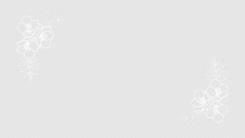 Alpha channel file for Growing Cherry blossom Flower Line Animation - frame Stock Footage 269783200