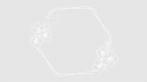 Alpha channel file for Growing Cherry blossom Flower Line Animation - Hexagon Stock Footage 269783205