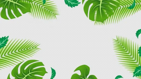 Alpha channel file - Loopable swaying tropical leaves frame animation Stock Footage 155886107