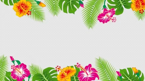 Alpha channel file - Loopable swaying hibiscus flowers and tropical leaves Stock Footage 155887655