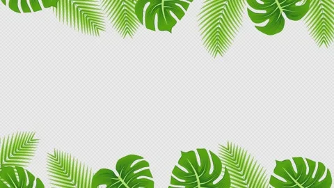 Alpha channel file - Loopable swaying tropical leaves frame animation Stock Footage 155889622