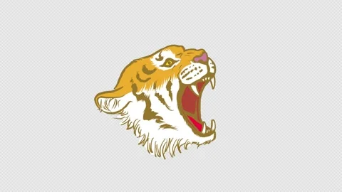 Alpha channel file - Roaring tiger animation, Body parts - Head Stock Footage 164364471