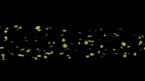 Alpha channel file - Running bunch of green maple leaves and glitter particle Stock Footage 118117792