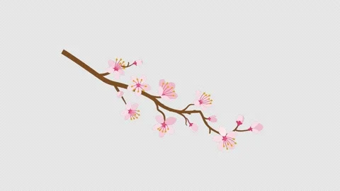 Alpha channel file - Swaying Cherry branch Stock Footage 148817931