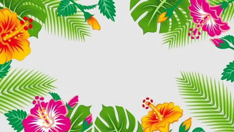 Alpha channel file - Swaying hibiscus flowers and tropical leaves frame Stock Footage